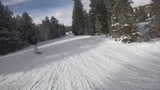 Brighton Resort - Snake Creek Laps - 12/19/20