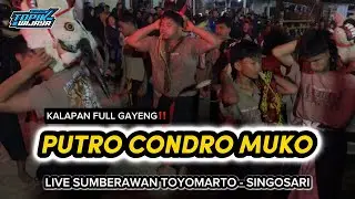 PUTRO CONDRO MUKO‼️ Kalapan Full Gayeng Live Sumberawan Toyomarto - Singosari