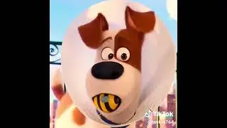 Kevin&rsquo;s Fun Adventures Season 3 Episode 11 - Max and Bolt