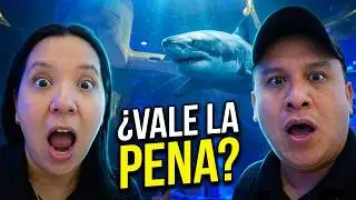 Acuario Sealand Monterrey | Lo bueno y lo Malo