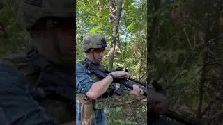 Springfield Armory Hellion (VHS-2) and subsonic 5.56