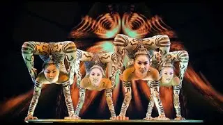 IRIS - Cirque du Soleil - Contortion 2020 | Snake Women | CIRQUECONNECT