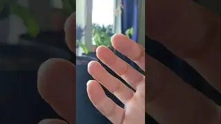 Phone Tapping & Storytime #asmr #phonetapping #phonescratching #tingly #whispering