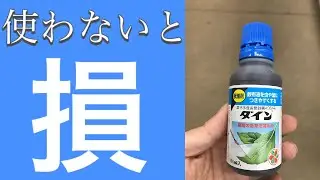 （庭木の消毒には必須アイテム！）展着剤について実験しながら効果を説明！（字幕対応）