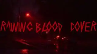 Slayer - Raining Blood Cover by Karolina Ptaszyńska 2024