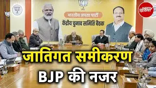 Delhi Assembly Election: जाट, ब्राह्मण, गुर्जर, पंजाबी... BJP का जातीय समीकरण समझिए | NDTV India