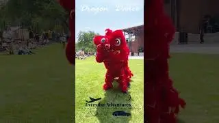 Interactive Lion Dance  | Fusion, Celebrating Irving's diversity | Irving Events