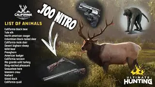 Все виды и известные виды оружия в Ultimate Hunting!