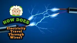 How Electricity Travels Through Wires to Reach Your Devices