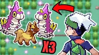 Full Odds Shiny Poochyena After 14,870 Random Encounters In Pok&eacute;mon Emerald! [Phase 3] Emerald DTQ
