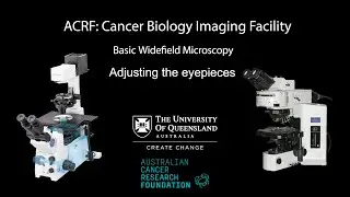 06. Widefield Microscopy Training: Adjusting the eyepieces