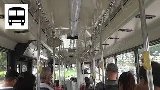 Dennis Lance 211 (UK) - SMRT Buses Giant-IKEA-Courts Tampines Shuttle