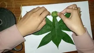 Kolase kupu kupu dari daun singkong