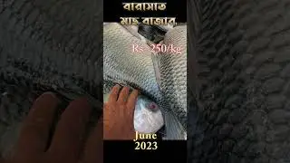 বারাসত পাইকারি মাছের বাজার জুন 2023 || Kolkata fish market || katla price 2023