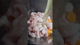 Chicken Noodle Soup in Ninja Soup Maker #food  #chicken #ninja