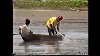 Peruvian Adventure Amazon and Machu Picchu