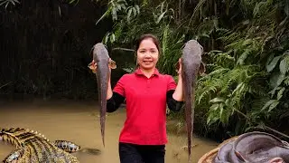 Harvesting Rare Black Ghost Knifefish & Goes To Market Sell  - Hanna Daily Life | Farm Life
