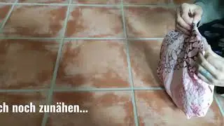 DIY Katzenkorb