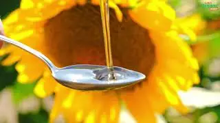 Organic Sunflower Oil A Healthier Choice for Cooking and Beyond at LET'S ORGANIC