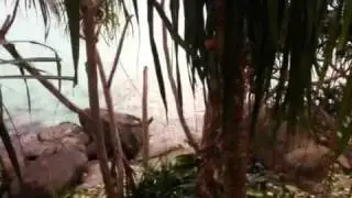 Strandweg auf Phuket/Thailand