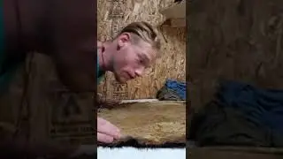 Breaking in a beaver hide