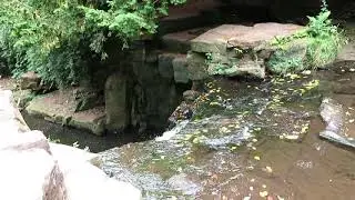 Jesmond dene Park July 2018 4