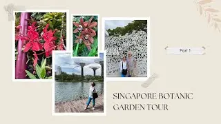 S'PORE BOTANIC GARDEN PART 1 @susiachmady#myyearonyoutube2025 #youtubepartnerperks #singaporetrip
