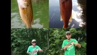 The Good, the Bad, And the Ugly!