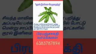#malaysiatamil #tamilgod #tamilastrology #tamilastrologyvideos #singaporetamil #dubaitamils #uktamil