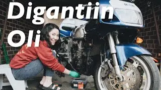ISTRI IDAMAN ANAK MOTOR - #dimvlog 264