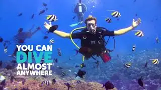 Learning to Dive is Easy with A-1 Scuba