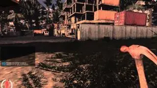 Знакомимся с War Z