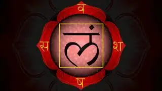 Akasha Project  CHAKRA
