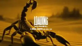 Vinel - Bungee Jumping (Visual Video)