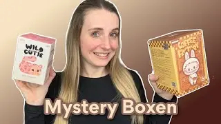 BLIND/MYSTERY BOXEN ÖFFNEN - POPMART UND ANDERE MARKEN
