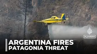Argentina battling raging fires: Patagonia's forest under threat