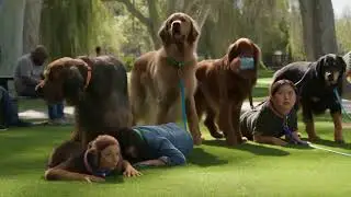 You FBI agent just quit, now its your dog who's watching you
