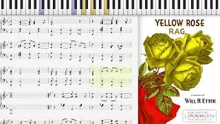 Yellow Rose Rag by Will Etter (1904, Ragtime piano)