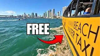 Miami Beach's New FREE Water Taxi Is Here! | Will It Last?