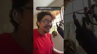 CHEGUEI AT&Eacute; AQUI - Autoral fenomenal