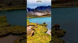 As 7 Lagoas de Ausangate: O Circuito Sagrado aos P&eacute;s do Nevado Andino#peru #historia #natureza