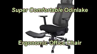 REVIEW and Full Assembly Odinlake Brand Ergonomic Office Chair With Footrest Ergo PRO Model 633