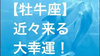 牡牛座♉️ 大幸運の流れ☀️🩷🥳