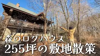 #2庭というか、もはや森。八ヶ岳255坪の敷地を隅々まで散策【ルームツアーPart2】