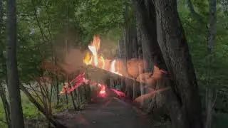 Smoky Mountain to Useppa Island Adventure