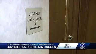 State senators hear testimony over violent juvenile crime bills