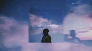 Wildest Dream (Shalom Margaret Cover) - Lofi Remix