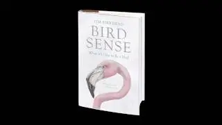 Tim Birkhead: Bird Sense - What It's Like to Be a Bird