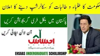 Ehsaas Undergraduate Scholarship Program | Prime Minister | Free Education | Wisdom Animator