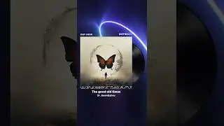 Wynorrific dreams - Out now - On all major streaming platforms